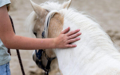 Kinderworkshop: Resilienz