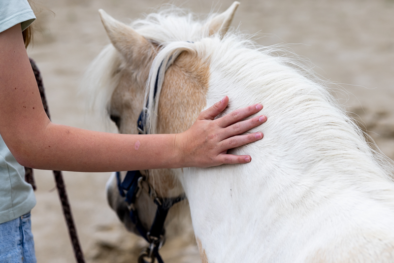 2024-07-16-0902-Ming