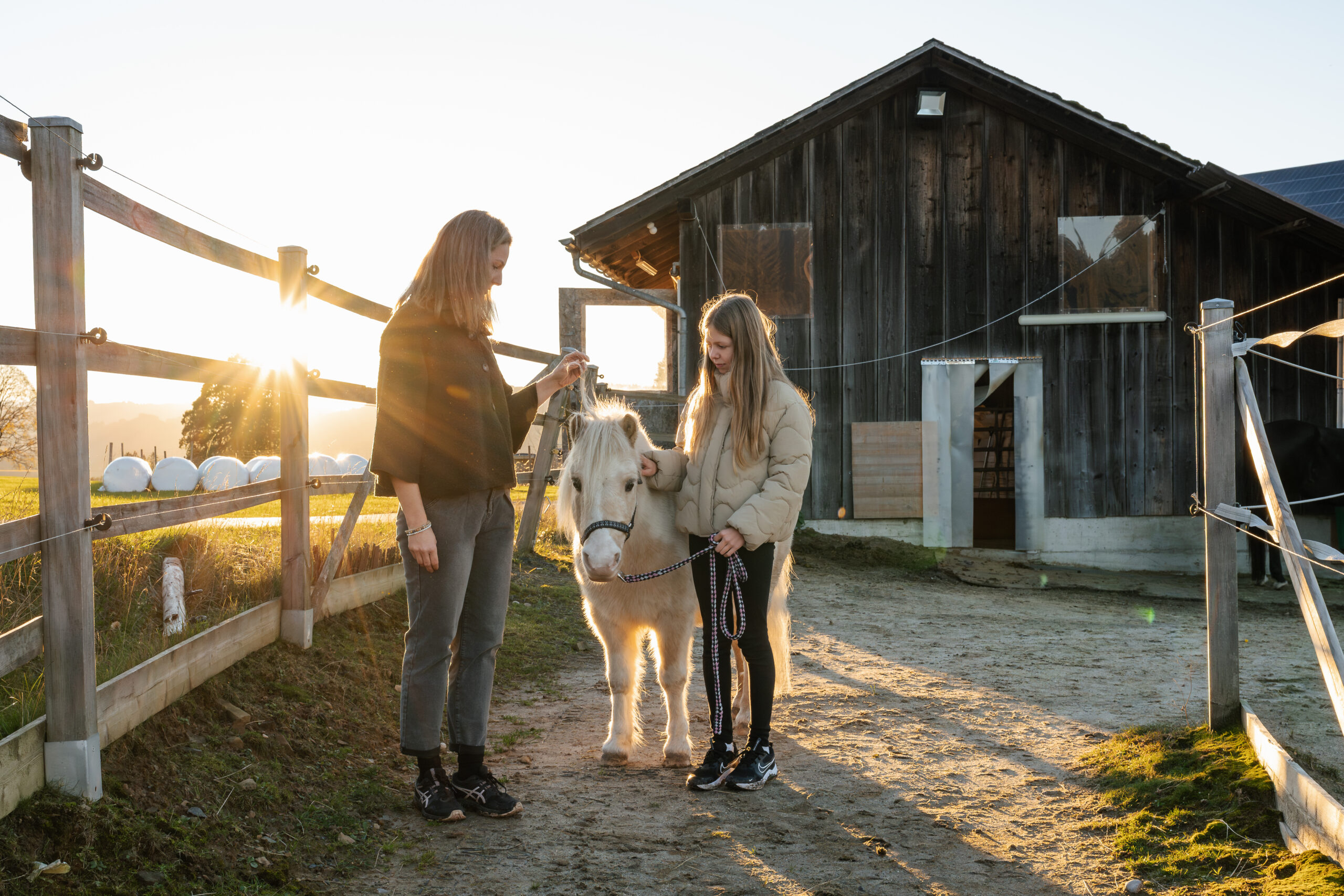Ängste Coaching mit Tieren für Kinder & Jugendliche